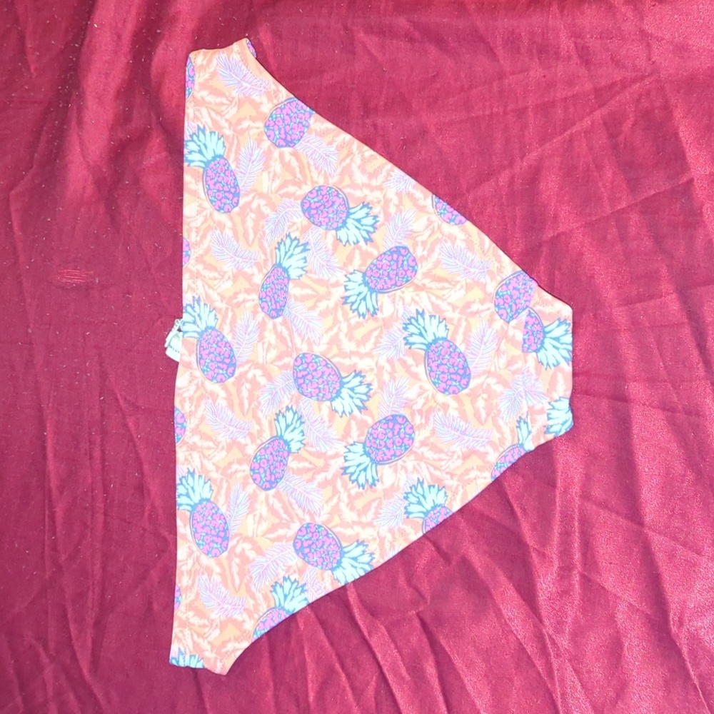 Pineapple Bikini Bottom - image 3